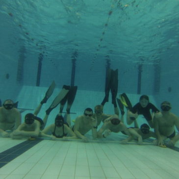 entrainement piscine