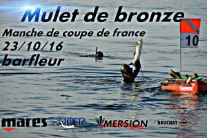 affiche-mulet-2016