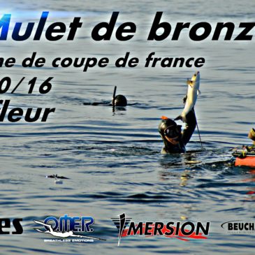 MULET DE BRONZE 2016 A BARFLEUR