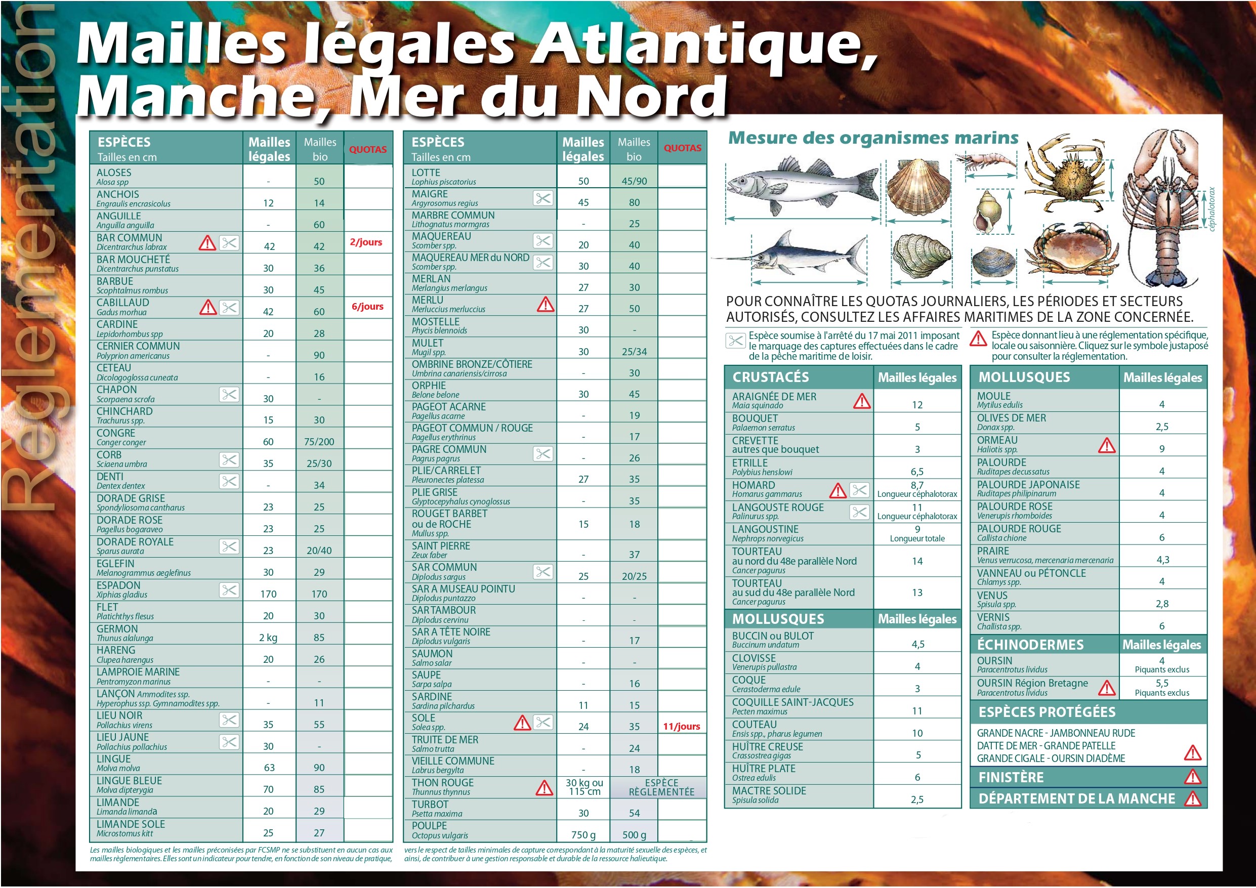 Poissons & crustacés | FFPSA NORMANDIE