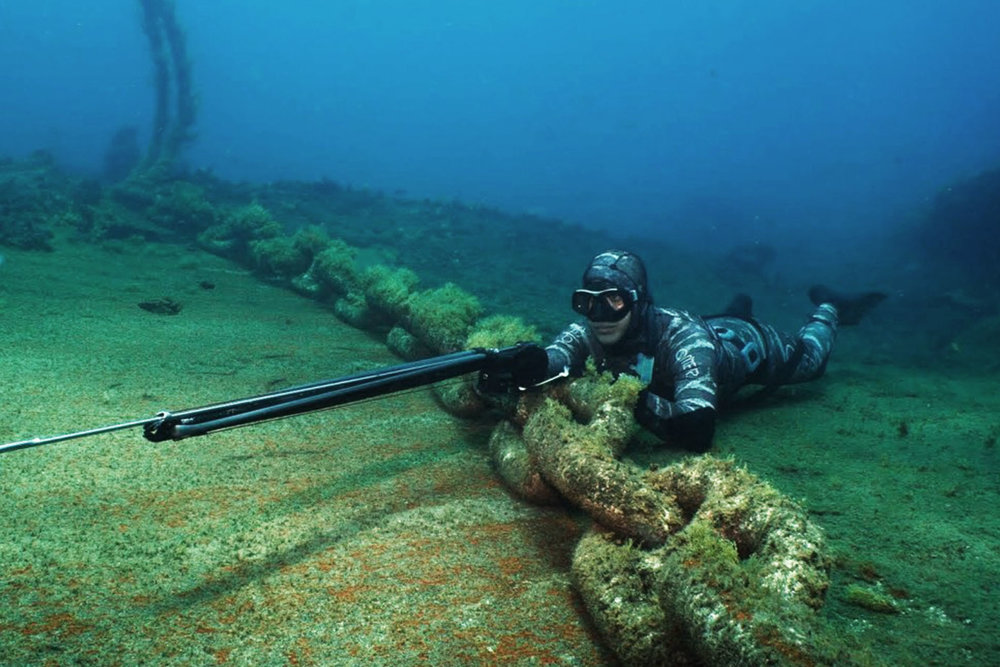 Les Bienfais de la chasse sous marine