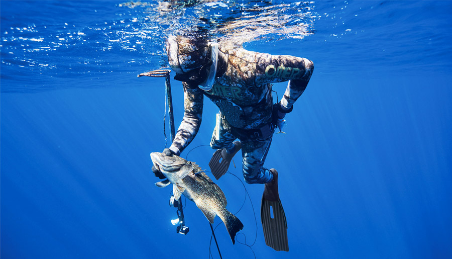 Les Bienfais de la chasse sous marine