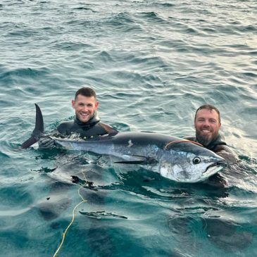 Ouverture de la campagne de pêche au thon